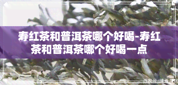 寿红茶和普洱茶哪个好喝-寿红茶和普洱茶哪个好喝一点