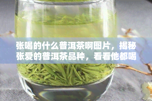 张喝的什么普洱茶啊图片，揭秘张爱的普洱茶品种，看看他都喝些什么！