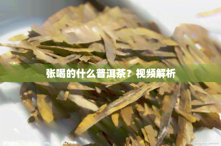 张喝的什么普洱茶？视频解析