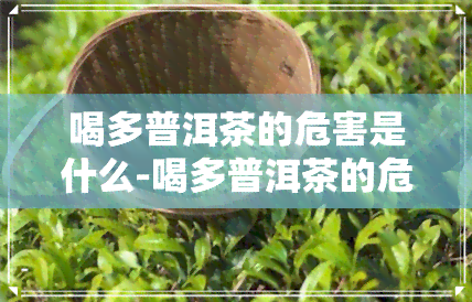 喝多普洱茶的危害是什么-喝多普洱茶的危害是什么呢