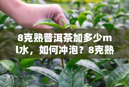 8克熟普洱茶加多少ml水，如何冲泡？8克熟普洱茶需要多少毫升的水？