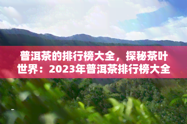 普洱茶的排行榜大全，探秘茶叶世界：2023年普洱茶排行榜大全