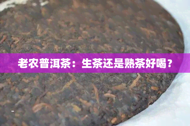 老农普洱茶：生茶还是熟茶好喝？