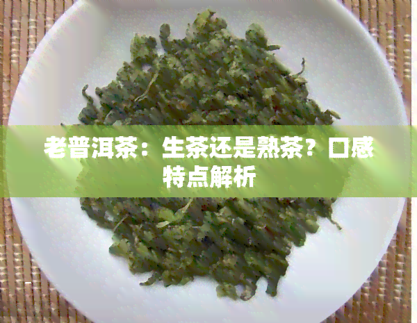 老普洱茶：生茶还是熟茶？口感特点解析