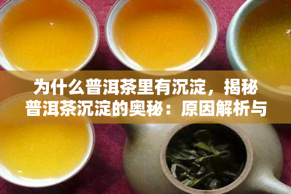 为什么普洱茶里有沉淀，揭秘普洱茶沉淀的奥秘：原因解析与品鉴技巧