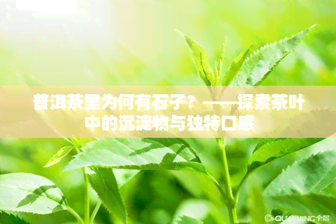 普洱茶里为何有石子？——探索茶叶中的沉淀物与独特口感