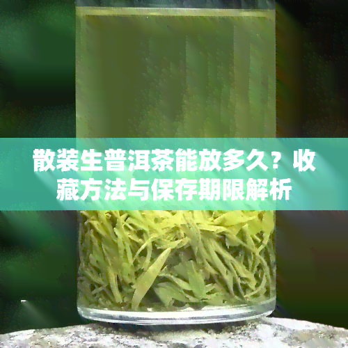 散装生普洱茶能放多久？收藏方法与保存期限解析