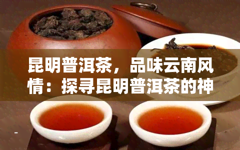 昆明普洱茶，品味云南风情：探寻昆明普洱茶的神秘魅力