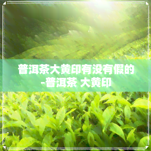 普洱茶大黄印有没有假的-普洱茶 大黄印