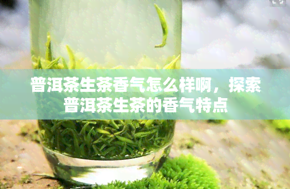 普洱茶生茶香气怎么样啊，探索普洱茶生茶的香气特点