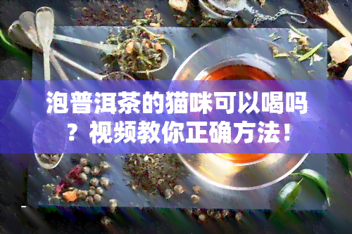 泡普洱茶的猫咪可以喝吗？视频教你正确方法！