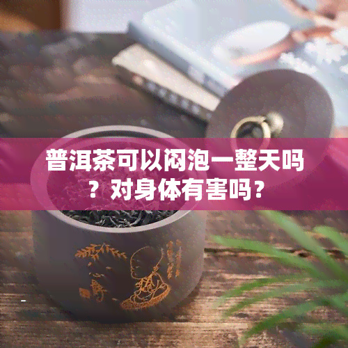 普洱茶可以闷泡一整天吗？对身体有害吗？