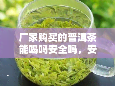 厂家购买的普洱茶能喝吗安全吗，安全放心？探讨厂家直购普洱茶的饮用问题