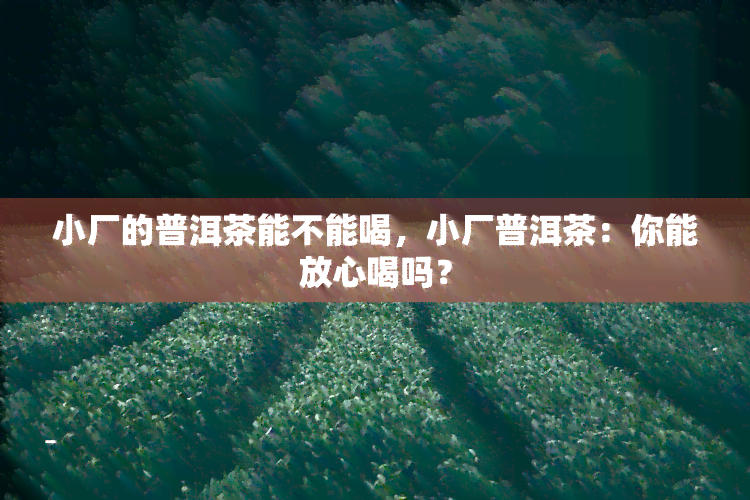 小厂的普洱茶能不能喝，小厂普洱茶：你能放心喝吗？