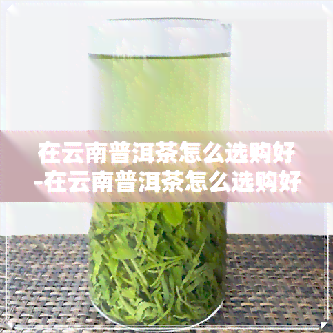 在云南普洱茶怎么选购好-在云南普洱茶怎么选购好的