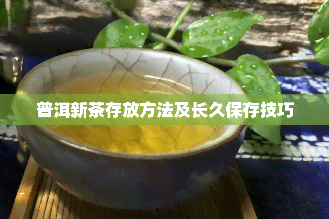 普洱新茶存放方法及长久保存技巧