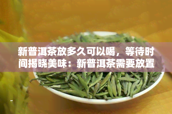 新普洱茶放多久可以喝，等待时间揭晓美味：新普洱茶需要放置多久才可饮用？