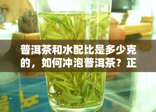 普洱茶和水配比是多少克的，如何冲泡普洱茶？正确比例是多少克？