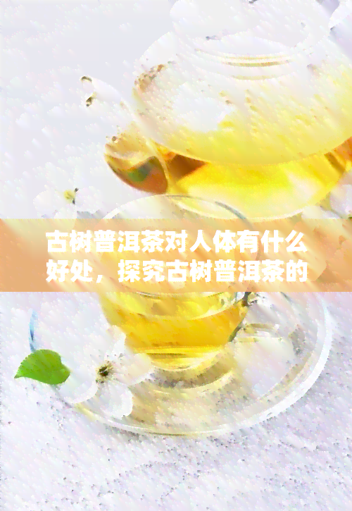 古树普洱茶对人体有什么好处，探究古树普洱茶的神奇功效，对人体有哪些益处？