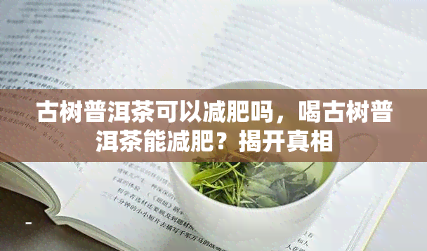 古树普洱茶可以减肥吗，喝古树普洱茶能减肥？揭开真相