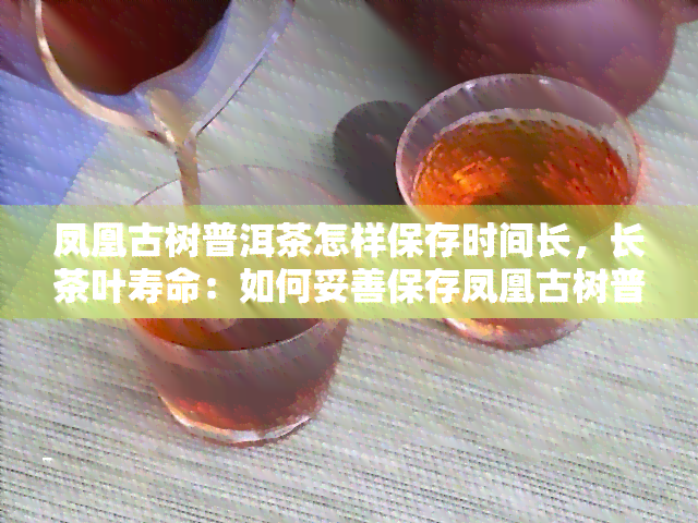 凤凰古树普洱茶怎样保存时间长，长茶叶寿命：如何妥善保存凤凰古树普洱茶？