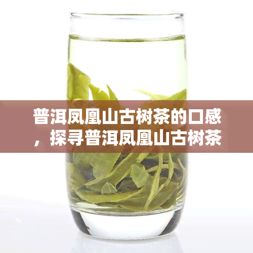 普洱凤凰山古树茶的口感，探寻普洱凤凰山古树茶的独特口感