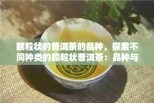 颗粒状的普洱茶的品种，探索不同种类的颗粒状普洱茶：品种与特点的全面解析