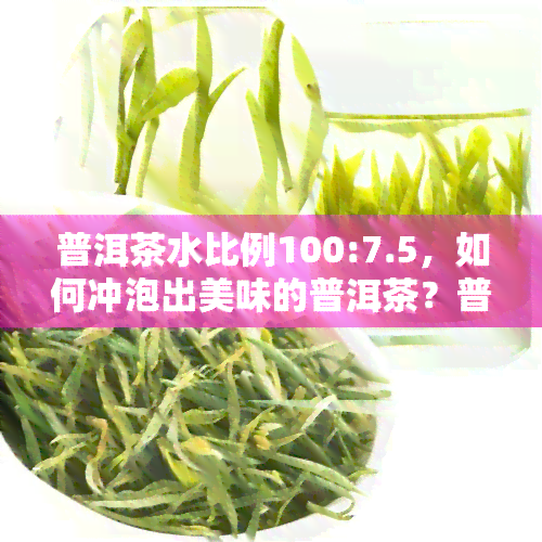 普洱茶水比例100:7.5，如何冲泡出美味的普洱茶？普洱茶水比例100:7.5的正确方法！