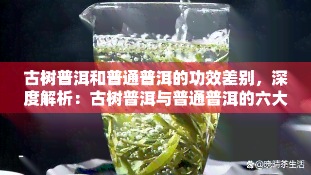 古树普洱和普通普洱的功效差别，深度解析：古树普洱与普通普洱的六大功效差异