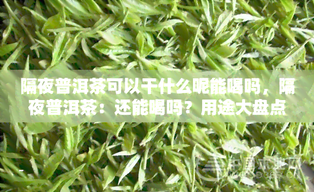 隔夜普洱茶可以干什么呢能喝吗，隔夜普洱茶：还能喝吗？用途大盘点！