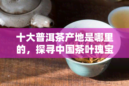 十大普洱茶产地是哪里的，探寻中国茶叶瑰宝：揭秘十大普洱茶产地的品质来源