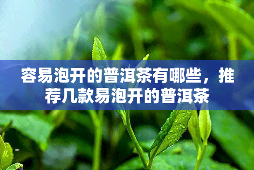 容易泡开的普洱茶有哪些，推荐几款易泡开的普洱茶