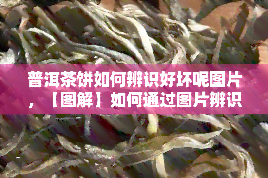 普洱茶饼如何辨识好坏呢图片，【图解】如何通过图片辨识普洱茶饼的好坏？