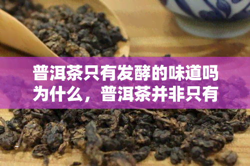 普洱茶只有发酵的味道吗为什么，普洱茶并非只有发酵味道，你知道为什么吗？