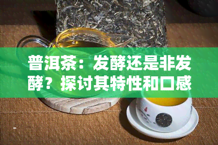 普洱茶：发酵还是非发酵？探讨其特性和口感