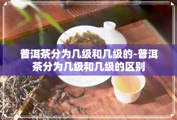 普洱茶分为几级和几级的-普洱茶分为几级和几级的区别