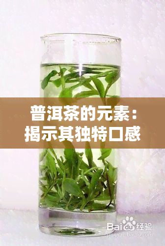 普洱茶的元素：揭示其独特口感与健的秘密