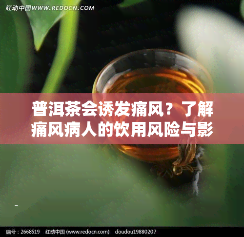 普洱茶会诱发痛风？了解痛风病人的饮用风险与影响