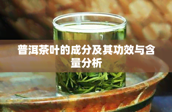 普洱茶叶的成分及其功效与含量分析