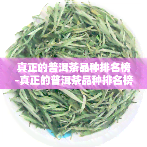 真正的普洱茶品种排名榜-真正的普洱茶品种排名榜图片