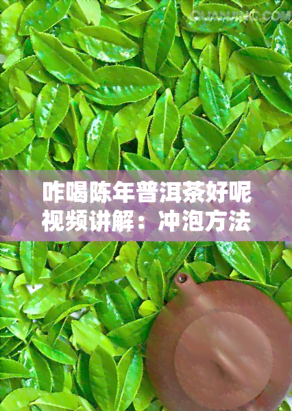 咋喝陈年普洱茶好呢视频讲解：冲泡方法与好处全解析