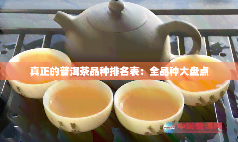 真正的普洱茶品种排名表：全品种大盘点