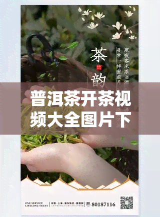 普洱茶开茶视频大全图片下载，高清图集：普洱茶开茶全过程视频教程下载