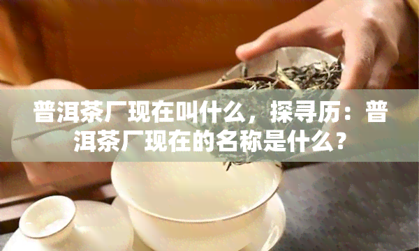 普洱茶厂现在叫什么，探寻历：普洱茶厂现在的名称是什么？