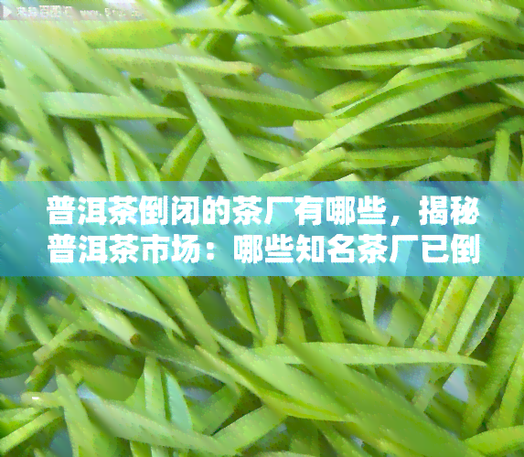 普洱茶倒闭的茶厂有哪些，揭秘普洱茶市场：哪些知名茶厂已倒闭？