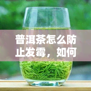 普洱茶怎么防止发霉，如何防止普洱茶发霉？五个实用小技巧！