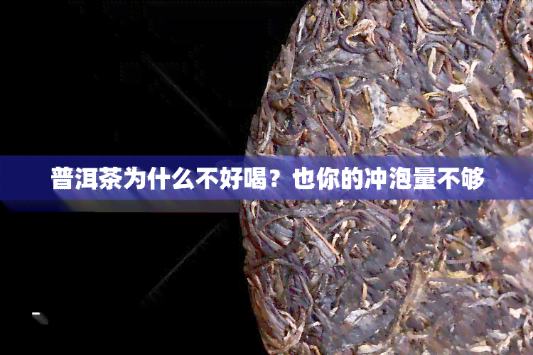 普洱茶为什么不好喝？也你的冲泡量不够