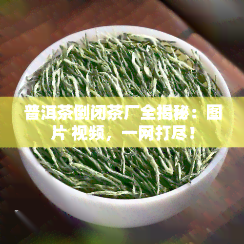 普洱茶倒闭茶厂全揭秘：图片 视频，一网打尽！