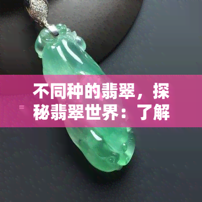 不同种的翡翠，探秘翡翠世界：了解不同种类的翡翠及其独特之处