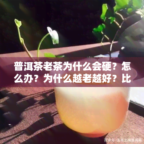 普洱茶老茶为什么会硬？怎么办？为什么越老越好？比较新老口感区别